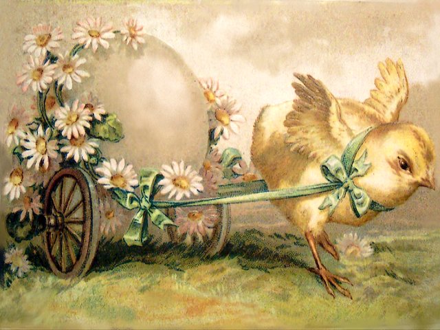 Easter Chicken with Egg in Cart Vintage Postcard - Lovely vintage Easter greetings postcard from the first half of the twentieth century, depicting a cute chicken carrying big egg in cart with daisies.<br />
The Easter holiday coincide with spring, the time of year when everything seems refreshing and new.  That’s why the postcards for Easter, especially those from the Victorian era, are so charming with the themes of birth, rebirth, and renewal. The springtime symbols are the green grass, blooming beautiful pastel flowers, newly hatched chicks and fluffy bunnies. - , Easter, chicken, chickens, egg, eggs, cart, carts, vintage, postcard, postcards, cartoon, cartoons, holiday, holidays, lovely, greetings, greeting, twentieth, century, centuries, cute, egg, daisies, daisy, spring, time, year, refreshing, new, Victorian, era, charming, birth, rebirth, renewal, springtime, symbols, symbol, green, grass, blooming, beautiful, pastel, flowers, flower, newly, hatched, chicks, chick, fluffy, bunnies, bunny - Lovely vintage Easter greetings postcard from the first half of the twentieth century, depicting a cute chicken carrying big egg in cart with daisies.<br />
The Easter holiday coincide with spring, the time of year when everything seems refreshing and new.  That’s why the postcards for Easter, especially those from the Victorian era, are so charming with the themes of birth, rebirth, and renewal. The springtime symbols are the green grass, blooming beautiful pastel flowers, newly hatched chicks and fluffy bunnies. Solve free online Easter Chicken with Egg in Cart Vintage Postcard puzzle games or send Easter Chicken with Egg in Cart Vintage Postcard puzzle game greeting ecards  from puzzles-games.eu.. Easter Chicken with Egg in Cart Vintage Postcard puzzle, puzzles, puzzles games, puzzles-games.eu, puzzle games, online puzzle games, free puzzle games, free online puzzle games, Easter Chicken with Egg in Cart Vintage Postcard free puzzle game, Easter Chicken with Egg in Cart Vintage Postcard online puzzle game, jigsaw puzzles, Easter Chicken with Egg in Cart Vintage Postcard jigsaw puzzle, jigsaw puzzle games, jigsaw puzzles games, Easter Chicken with Egg in Cart Vintage Postcard puzzle game ecard, puzzles games ecards, Easter Chicken with Egg in Cart Vintage Postcard puzzle game greeting ecard