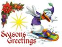 Disney Christmas Donald Duck on Snowboard Greeting Card