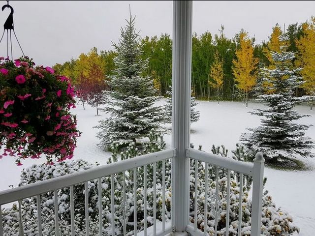 All Seasons at Once in Canada puzzle game 