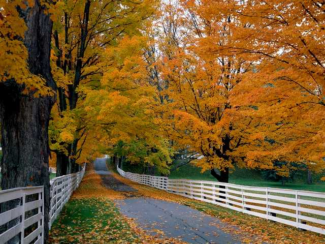 Autumn Landscape New Hampshire Puzzle Spiel 