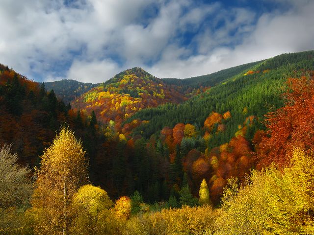 Autumn Landscape from Rhodope Mountains Bulgaria пазл игру 
