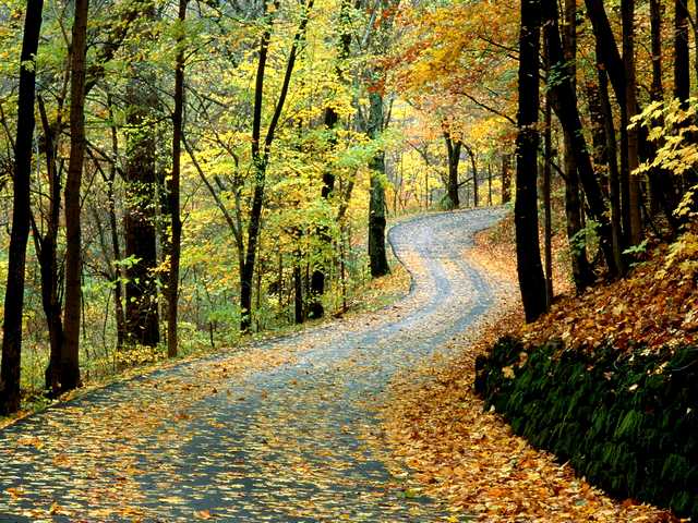 Autumn Road in Percy Warner Park Nashville Tennessee puzzle game 