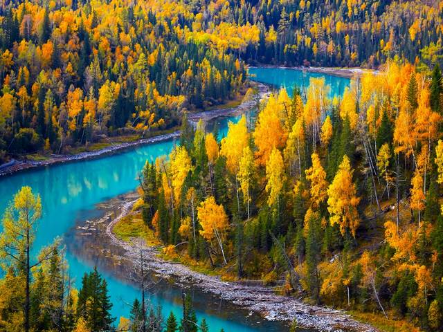 Autumn at Kanas Lake Xinjiang China пазл игру 