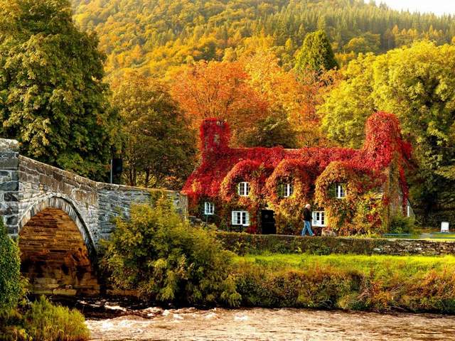 Autumn in Snowdonia National Park Llanrwst Wales UK puzzle game 