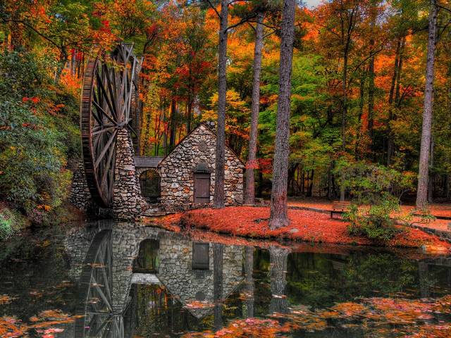 Fall Colors Old Mill Berry College Rome Georgia USA - Beautiful landscape with fall colors of the Old Mill, located on the property of  Berry College of arts in Mount Berry, just north of Rome, Georgia, USA. The extra-large wooden wheel and the stone house of the Old Mill at Berry College was constructed in 1930 by student workers and completely rebuilt during 1977's. The waterwheel of the Old Mill is considered one of the largest in the world with its 42 feet in diameter and three feet in width. The water arrives from the Berry lake and by force of gravity the wheel turns. Producing cornmeal, grits and wheat, which were locally grown at the college, helped to feed students during the Depression Era. - , fall, colors, color, old, mill, mills, Berry, college, colleges, Rome, Georgia, USA, nature, natures, places, place, beautiful, landscape, landscapes, property, properties, Mount, wooden, wheel, wheels, stone, house, houses, student, students, workers, worker, world, diameter, width, water, lake, lakes, force, gravity, cornmeal, grits, wheat, Depression, Era - Beautiful landscape with fall colors of the Old Mill, located on the property of  Berry College of arts in Mount Berry, just north of Rome, Georgia, USA. The extra-large wooden wheel and the stone house of the Old Mill at Berry College was constructed in 1930 by student workers and completely rebuilt during 1977's. The waterwheel of the Old Mill is considered one of the largest in the world with its 42 feet in diameter and three feet in width. The water arrives from the Berry lake and by force of gravity the wheel turns. Producing cornmeal, grits and wheat, which were locally grown at the college, helped to feed students during the Depression Era. Решайте бесплатные онлайн Fall Colors Old Mill Berry College Rome Georgia USA пазлы игры или отправьте Fall Colors Old Mill Berry College Rome Georgia USA пазл игру приветственную открытку  из puzzles-games.eu.. Fall Colors Old Mill Berry College Rome Georgia USA пазл, пазлы, пазлы игры, puzzles-games.eu, пазл игры, онлайн пазл игры, игры пазлы бесплатно, бесплатно онлайн пазл игры, Fall Colors Old Mill Berry College Rome Georgia USA бесплатно пазл игра, Fall Colors Old Mill Berry College Rome Georgia USA онлайн пазл игра , jigsaw puzzles, Fall Colors Old Mill Berry College Rome Georgia USA jigsaw puzzle, jigsaw puzzle games, jigsaw puzzles games, Fall Colors Old Mill Berry College Rome Georgia USA пазл игра открытка, пазлы игры открытки, Fall Colors Old Mill Berry College Rome Georgia USA пазл игра приветственная открытка