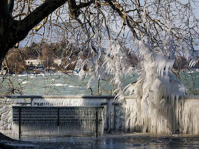 Frozen Shore of Lake Geneva Switzerland - An ice covered bench and a willow tree covered with icicles, are pictured at the frozen shore of Lake Geneva, in Geneva, Switzerland.<br />
The lake Leman in Geneva in Switzerland, recorded one of its infrequent moments of beautiful frost, when a wave of Siberian cold settled February 26, 2018 on the European continent. - , frozen, shore, lake, Geneva, Switzerland, nature, ice, bench, benches, willow, tree, trees, icicles, Leman, infrequent, moments, beautiful, frost, wave, Siberian, cold, February, 2018, European, continent - An ice covered bench and a willow tree covered with icicles, are pictured at the frozen shore of Lake Geneva, in Geneva, Switzerland.<br />
The lake Leman in Geneva in Switzerland, recorded one of its infrequent moments of beautiful frost, when a wave of Siberian cold settled February 26, 2018 on the European continent. Solve free online Frozen Shore of Lake Geneva Switzerland puzzle games or send Frozen Shore of Lake Geneva Switzerland puzzle game greeting ecards  from puzzles-games.eu.. Frozen Shore of Lake Geneva Switzerland puzzle, puzzles, puzzles games, puzzles-games.eu, puzzle games, online puzzle games, free puzzle games, free online puzzle games, Frozen Shore of Lake Geneva Switzerland free puzzle game, Frozen Shore of Lake Geneva Switzerland online puzzle game, jigsaw puzzles, Frozen Shore of Lake Geneva Switzerland jigsaw puzzle, jigsaw puzzle games, jigsaw puzzles games, Frozen Shore of Lake Geneva Switzerland puzzle game ecard, puzzles games ecards, Frozen Shore of Lake Geneva Switzerland puzzle game greeting ecard