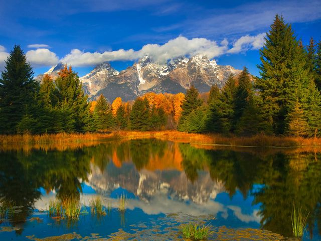 Grand Teton National Park Wyoming juego de puzzle 