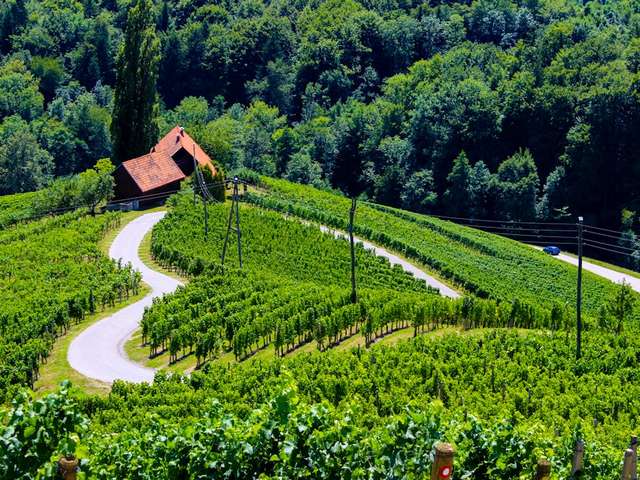 Heart Shaped Road through Vineyard in Slovenia - A beautiful sight of a road, shaped like a heart, through a vineyard in the tourist farm in Slovenia, near by the Austrian border. An interesting thing about this popular road is that, it was created almost spontaneously to make the road to the home less steep.<br />
One of the things Slovenian people are most known for is being the wine lovers. A lot of the wineries are family businesses, being transmitted from generation to generation. - , heart, road, vineyard, Slovenia, nature, place, places, beautiful, sight, tourist, farm, Austrian, border, popular, spontaneously, home, steep, Slovenian, people, wine, lovers, wineries, family, businesses, generation - A beautiful sight of a road, shaped like a heart, through a vineyard in the tourist farm in Slovenia, near by the Austrian border. An interesting thing about this popular road is that, it was created almost spontaneously to make the road to the home less steep.<br />
One of the things Slovenian people are most known for is being the wine lovers. A lot of the wineries are family businesses, being transmitted from generation to generation. Подреждайте безплатни онлайн Heart Shaped Road through Vineyard in Slovenia пъзел игри или изпратете Heart Shaped Road through Vineyard in Slovenia пъзел игра поздравителна картичка  от puzzles-games.eu.. Heart Shaped Road through Vineyard in Slovenia пъзел, пъзели, пъзели игри, puzzles-games.eu, пъзел игри, online пъзел игри, free пъзел игри, free online пъзел игри, Heart Shaped Road through Vineyard in Slovenia free пъзел игра, Heart Shaped Road through Vineyard in Slovenia online пъзел игра, jigsaw puzzles, Heart Shaped Road through Vineyard in Slovenia jigsaw puzzle, jigsaw puzzle games, jigsaw puzzles games, Heart Shaped Road through Vineyard in Slovenia пъзел игра картичка, пъзели игри картички, Heart Shaped Road through Vineyard in Slovenia пъзел игра поздравителна картичка