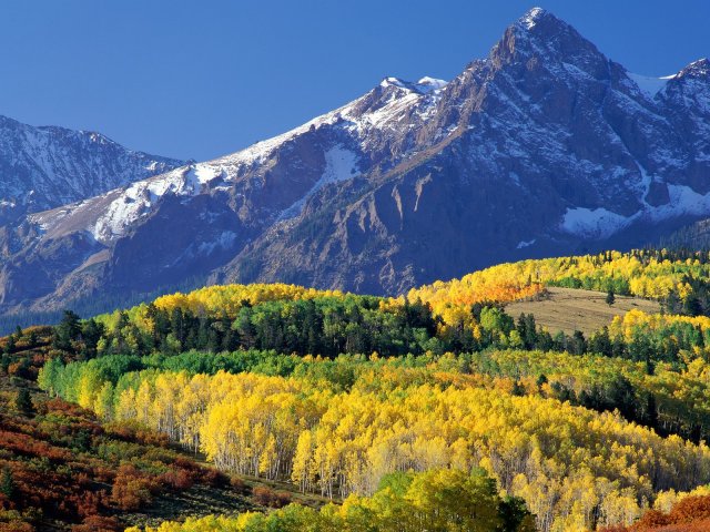 Mountain Forest - Mountain Forest Colorado, United States - , Mountain, Forest, Colorado, United, States, nature, travel, tour, trip, excursion - Mountain Forest Colorado, United States Solve free online Mountain Forest puzzle games or send Mountain Forest puzzle game greeting ecards  from puzzles-games.eu.. Mountain Forest puzzle, puzzles, puzzles games, puzzles-games.eu, puzzle games, online puzzle games, free puzzle games, free online puzzle games, Mountain Forest free puzzle game, Mountain Forest online puzzle game, jigsaw puzzles, Mountain Forest jigsaw puzzle, jigsaw puzzle games, jigsaw puzzles games, Mountain Forest puzzle game ecard, puzzles games ecards, Mountain Forest puzzle game greeting ecard