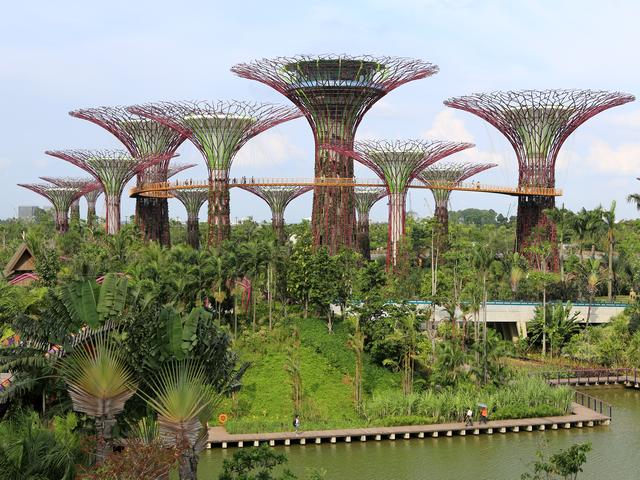 Supertrees Grove Gardens by the Bay Singapore puzzle game 