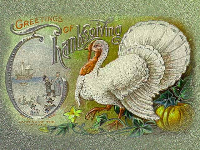 Greetings of Thanksgiving Vintage Postcard - Beautiful remake of a vintage postcard for the Thanksgiving Day, preserved over 100 years, with a wonderful white turkey, which is standing beside a pumpkin. The picture in the circular scoop of the letter “T” of the message 'Greetings of Thanksgiving' is an illustration of the Pilgrims arriving at Plymouth Rock with their ship 'The Mayflower' with an inscription 'Dec 22 1620 Landing of the Puritans'. - , greetings, greeting, Thanksgiving, vintage, postcard, postcards, cartoons, cartoon, holidays, holliday, beautiful, remake, day, days, years, year, wonderful, white, turkey, turkeys, pumpkin, pumpkins, picture, pictures, circular, scoop, letter, letters, message, messages, illustration, illustrations, pilgrims, pilgrim, arriving, Plymouth, Rock, ship, ships, Mayflower, inscription, inscriptions, 1620, landing, puritans, puritan - Beautiful remake of a vintage postcard for the Thanksgiving Day, preserved over 100 years, with a wonderful white turkey, which is standing beside a pumpkin. The picture in the circular scoop of the letter “T” of the message 'Greetings of Thanksgiving' is an illustration of the Pilgrims arriving at Plymouth Rock with their ship 'The Mayflower' with an inscription 'Dec 22 1620 Landing of the Puritans'. Решайте бесплатные онлайн Greetings of Thanksgiving Vintage Postcard пазлы игры или отправьте Greetings of Thanksgiving Vintage Postcard пазл игру приветственную открытку  из puzzles-games.eu.. Greetings of Thanksgiving Vintage Postcard пазл, пазлы, пазлы игры, puzzles-games.eu, пазл игры, онлайн пазл игры, игры пазлы бесплатно, бесплатно онлайн пазл игры, Greetings of Thanksgiving Vintage Postcard бесплатно пазл игра, Greetings of Thanksgiving Vintage Postcard онлайн пазл игра , jigsaw puzzles, Greetings of Thanksgiving Vintage Postcard jigsaw puzzle, jigsaw puzzle games, jigsaw puzzles games, Greetings of Thanksgiving Vintage Postcard пазл игра открытка, пазлы игры открытки, Greetings of Thanksgiving Vintage Postcard пазл игра приветственная открытка