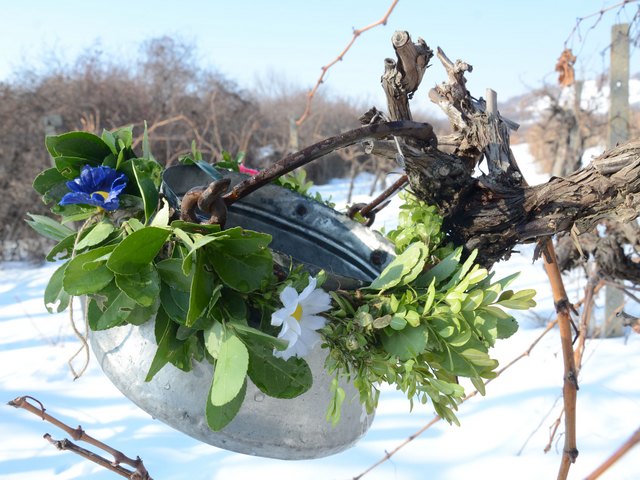 Trifon Zarezan Wallpaper puzzle game 