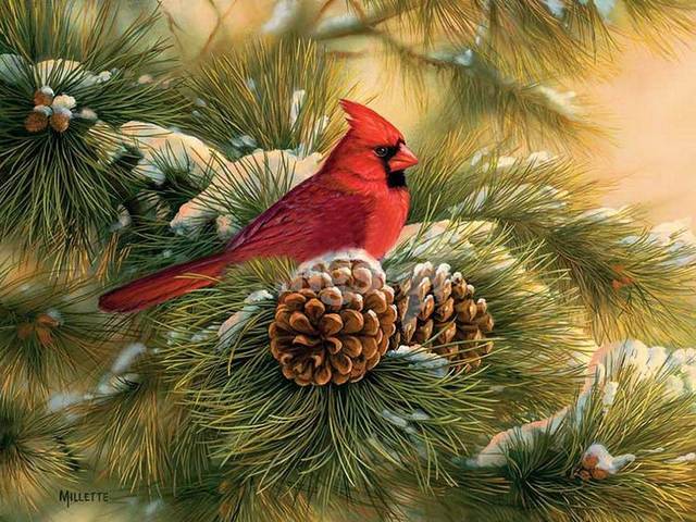December Dawn Cardinal by Rosemary Millette пазл игру 