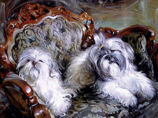 Doggies by Vladimir Volegov Puzzle Spiel 