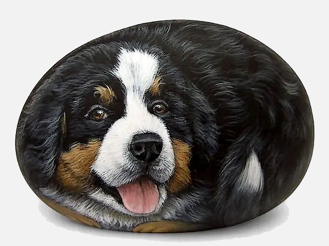 Handpainted Bernese Mountain Dog on Stone пазл игру 