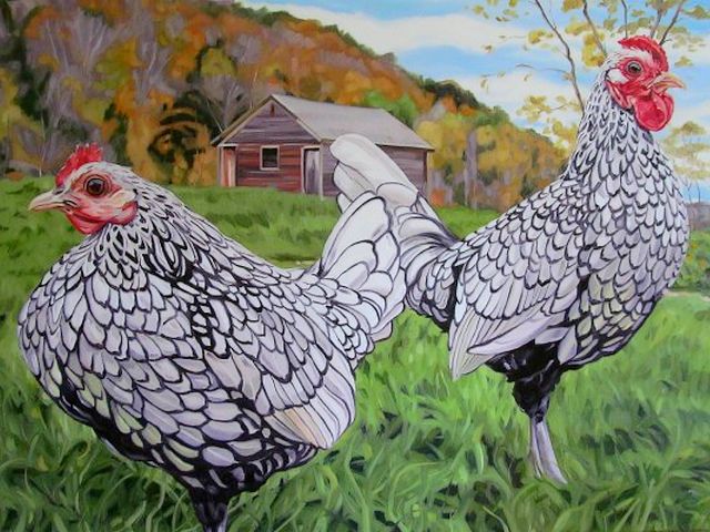 Silver Sebright Bantam Pair by Amy Mosher Vermont USA - A beautiful pair of Silver Sebright chickens which are living in a small farm at Vermont, the New England, a region of the northeastern USA, an oil painting on canvas by Amy Mosher. The Sebright (silver and golden) is an ornamental breed of miniature poultry, created in the 19th century by Sir John Saunders Sebright. They are usually one-fifth the size of the standard breed and have been brought by European sailors from the city of Bantam, a seaport in Indonesia. - , silver, Sebright, Bantam, pair, pairs, Amy, Mosher, Vermont, USA, art, arts, animals, animal, places, place, travel, travels, tout, tours, trip, trips, beautiful, chickens, chicken, farm, farms, New, England, region, regions, northeastern, oil, painting, paintings, canvas, canvases, golden, ornamental, breed, breeds, miniature, poultry, century, centuries, Sir, John, Saunders, size, sizes, standard, European, sailors, sailor, city, cities, seaport, seaports, Indonesia - A beautiful pair of Silver Sebright chickens which are living in a small farm at Vermont, the New England, a region of the northeastern USA, an oil painting on canvas by Amy Mosher. The Sebright (silver and golden) is an ornamental breed of miniature poultry, created in the 19th century by Sir John Saunders Sebright. They are usually one-fifth the size of the standard breed and have been brought by European sailors from the city of Bantam, a seaport in Indonesia. Resuelve rompecabezas en línea gratis Silver Sebright Bantam Pair by Amy Mosher Vermont USA juegos puzzle o enviar Silver Sebright Bantam Pair by Amy Mosher Vermont USA juego de puzzle tarjetas electrónicas de felicitación  de puzzles-games.eu.. Silver Sebright Bantam Pair by Amy Mosher Vermont USA puzzle, puzzles, rompecabezas juegos, puzzles-games.eu, juegos de puzzle, juegos en línea del rompecabezas, juegos gratis puzzle, juegos en línea gratis rompecabezas, Silver Sebright Bantam Pair by Amy Mosher Vermont USA juego de puzzle gratuito, Silver Sebright Bantam Pair by Amy Mosher Vermont USA juego de rompecabezas en línea, jigsaw puzzles, Silver Sebright Bantam Pair by Amy Mosher Vermont USA jigsaw puzzle, jigsaw puzzle games, jigsaw puzzles games, Silver Sebright Bantam Pair by Amy Mosher Vermont USA rompecabezas de juego tarjeta electrónica, juegos de puzzles tarjetas electrónicas, Silver Sebright Bantam Pair by Amy Mosher Vermont USA puzzle tarjeta electrónica de felicitación