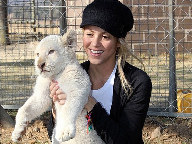World Cup 2010 Shakira plays with Lion Cub puzzle game 