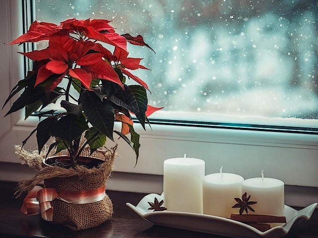 Christmas Star пазл игру 