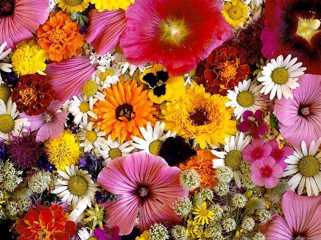 Easter Flowers Wallpaper Puzzle Spiel 
