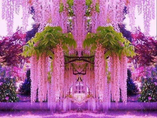 Pink Wisteria Japan Wallpaper пъзел игра 