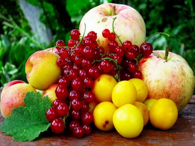 Fruits Mixed Set puzzle game 