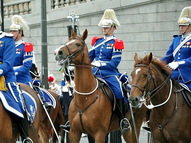 Royal Wedding Sweeden the Guard - After the Wedding ceremony, horsemen from the Royal guard follow the Royal couple along the streets of Stockholm, Sweden (June 19, 2010). - , Royal, Wedding, Sweden, guard, guards, show, shows, ceremony, ceremonies, event, events, celebrity, celebrities, entertainment, entertainments, horsemen, horseman, couple, couples, street, streets, Stockholm - After the Wedding ceremony, horsemen from the Royal guard follow the Royal couple along the streets of Stockholm, Sweden (June 19, 2010). Подреждайте безплатни онлайн Royal Wedding Sweeden the Guard пъзел игри или изпратете Royal Wedding Sweeden the Guard пъзел игра поздравителна картичка  от puzzles-games.eu.. Royal Wedding Sweeden the Guard пъзел, пъзели, пъзели игри, puzzles-games.eu, пъзел игри, online пъзел игри, free пъзел игри, free online пъзел игри, Royal Wedding Sweeden the Guard free пъзел игра, Royal Wedding Sweeden the Guard online пъзел игра, jigsaw puzzles, Royal Wedding Sweeden the Guard jigsaw puzzle, jigsaw puzzle games, jigsaw puzzles games, Royal Wedding Sweeden the Guard пъзел игра картичка, пъзели игри картички, Royal Wedding Sweeden the Guard пъзел игра поздравителна картичка