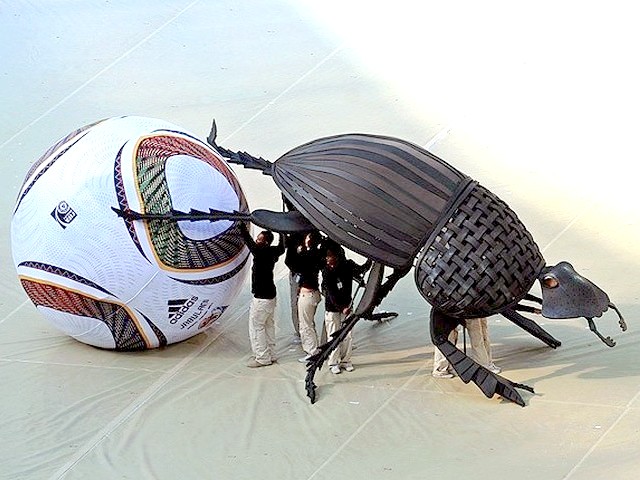 World Cup 2010 a Giant Dung Beetle пазл игру 