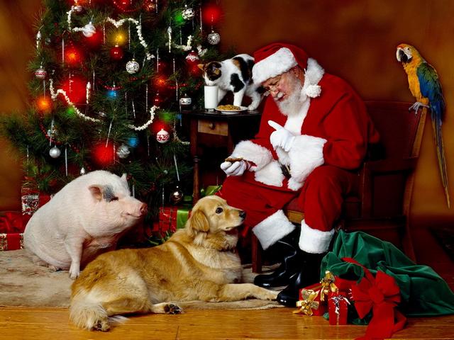 Christmas Scene puzzle game 