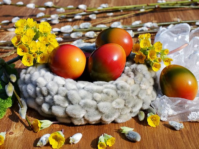 Easter Decor - Beautiful spring Easter decor with bird nest composed by white wreath of twigs willow catkins with bright colored eggs and yellow primroses blooms, on wooden table background. - , Easter, decor, decors, holiday, holidays, beautiful, spring, bird, nest, white, wreath, twigs, willow, catkins, bright, colored, eggs, yellow, primroses, blooms, wooden, table, background - Beautiful spring Easter decor with bird nest composed by white wreath of twigs willow catkins with bright colored eggs and yellow primroses blooms, on wooden table background. Подреждайте безплатни онлайн Easter Decor пъзел игри или изпратете Easter Decor пъзел игра поздравителна картичка  от puzzles-games.eu.. Easter Decor пъзел, пъзели, пъзели игри, puzzles-games.eu, пъзел игри, online пъзел игри, free пъзел игри, free online пъзел игри, Easter Decor free пъзел игра, Easter Decor online пъзел игра, jigsaw puzzles, Easter Decor jigsaw puzzle, jigsaw puzzle games, jigsaw puzzles games, Easter Decor пъзел игра картичка, пъзели игри картички, Easter Decor пъзел игра поздравителна картичка