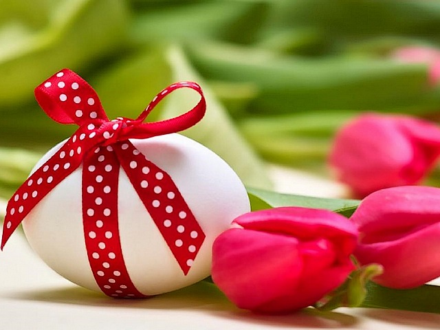 Easter Gift - A playful Easter gift with a white egg, tied with red ribbon and a big bow on background of red tulips. - , Easter, gift, gifts, holidays, holiday, playful, white, egg, eggs, red, ribbon, ribbons, bow, bows, background, backgrounds, tulips, tulip - A playful Easter gift with a white egg, tied with red ribbon and a big bow on background of red tulips. Подреждайте безплатни онлайн Easter Gift пъзел игри или изпратете Easter Gift пъзел игра поздравителна картичка  от puzzles-games.eu.. Easter Gift пъзел, пъзели, пъзели игри, puzzles-games.eu, пъзел игри, online пъзел игри, free пъзел игри, free online пъзел игри, Easter Gift free пъзел игра, Easter Gift online пъзел игра, jigsaw puzzles, Easter Gift jigsaw puzzle, jigsaw puzzle games, jigsaw puzzles games, Easter Gift пъзел игра картичка, пъзели игри картички, Easter Gift пъзел игра поздравителна картичка