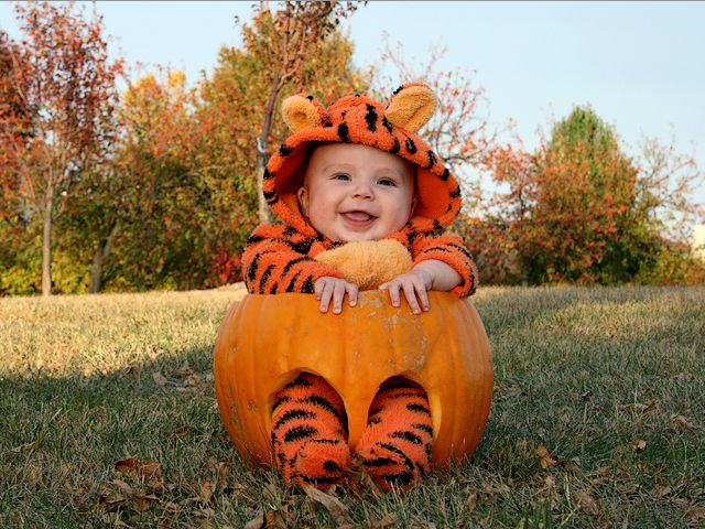 Halloween Baby in Tigger Costume пазл игру 