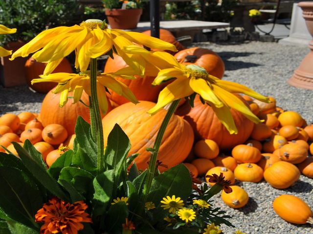 Halloween Pumpkins and Autumn Flowers Puzzle Spiel 