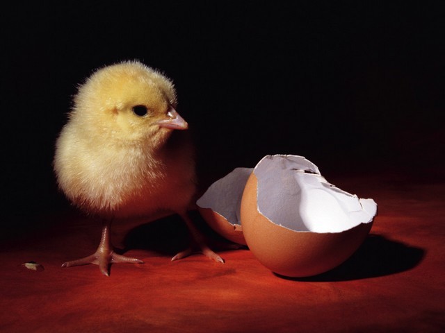 Revival пъзел игра 