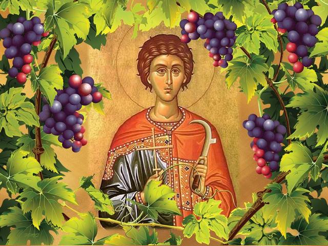 Saint Tryphon Day of the Grower - Saint Tryphon is a Christian priest who is considered to be the keeper of the vineyards, who is often depicted as a young man with different cutting tools. Legend has it that he was brother of the Virgin Mary and is known for his healing abilities. Tryphon Zarezan (or the Day of the Grower) is a Bulgarian folk festival in honour of Saint Tryphon. Traditionally on this day is done symbolically first pruning of the vineyards for encouraging the growth of the vines. Tryphon Zarezan is celebrated by wine growers, falconers, gardeners and innkeepers on 14th of February (according to the Gregorian calendar) or the February 1st (the Julian calendar), when the Bulgarian Orthodox Church officially honours Saint Tryphon. - , saint, saints, Tryphon, day, days, grower, growers, holidays, holiday, feast, feasts, Christian, priest, priests, keeper, keepers, vineyards, vineyard, young, man, men, cutting, tools, tool, legend, brother, brothers, Virgin, Mary, healing, abilities, ability, Bulgarian, folk, festival, festivals, honour, growth, vines, vine, wine, falconers, falconer, gardeners, gardener, innkeepers, innkeeper, February, Gregorian, calendar, calendars, Julian, Orthodox, church, churches - Saint Tryphon is a Christian priest who is considered to be the keeper of the vineyards, who is often depicted as a young man with different cutting tools. Legend has it that he was brother of the Virgin Mary and is known for his healing abilities. Tryphon Zarezan (or the Day of the Grower) is a Bulgarian folk festival in honour of Saint Tryphon. Traditionally on this day is done symbolically first pruning of the vineyards for encouraging the growth of the vines. Tryphon Zarezan is celebrated by wine growers, falconers, gardeners and innkeepers on 14th of February (according to the Gregorian calendar) or the February 1st (the Julian calendar), when the Bulgarian Orthodox Church officially honours Saint Tryphon. Lösen Sie kostenlose Saint Tryphon Day of the Grower Online Puzzle Spiele oder senden Sie Saint Tryphon Day of the Grower Puzzle Spiel Gruß ecards  from puzzles-games.eu.. Saint Tryphon Day of the Grower puzzle, Rätsel, puzzles, Puzzle Spiele, puzzles-games.eu, puzzle games, Online Puzzle Spiele, kostenlose Puzzle Spiele, kostenlose Online Puzzle Spiele, Saint Tryphon Day of the Grower kostenlose Puzzle Spiel, Saint Tryphon Day of the Grower Online Puzzle Spiel, jigsaw puzzles, Saint Tryphon Day of the Grower jigsaw puzzle, jigsaw puzzle games, jigsaw puzzles games, Saint Tryphon Day of the Grower Puzzle Spiel ecard, Puzzles Spiele ecards, Saint Tryphon Day of the Grower Puzzle Spiel Gruß ecards
