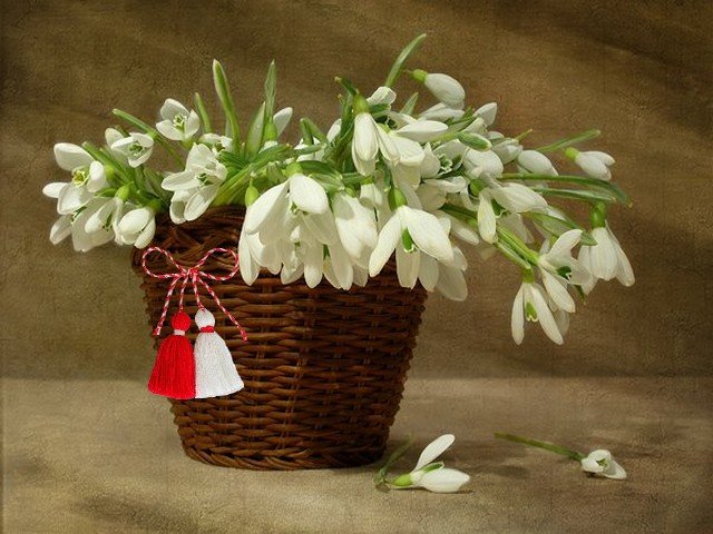 Snowdrops with Bulgarian Martenitsa Wallpaper - Wallpaper with beautiful heralds of spring, delicate white snowdrops (Galanthus nivalis) nestled in wicker basket, which is decorated with red and white tassels of Bulgarian martenitsa, symbol of new life, fertility, good health and luck. The white colour symbolizes purity and the red is a symbol of the life and the passion. - , snowdrops, snowdrop, Bulgarian, martenitsa, martenitsi, wallpaper, wallpapers, holiday, holidays, flower, flowers, feast, feasts, season, seasons, beautiful, heralds, herald, spring, delicate, white, Galanthus, nivalis, wicker, basket, baskets, red, tassels, tassel, symbol, symbols, new, life, lives, fertility, health, luck, colour, colours, purity, passion, passions - Wallpaper with beautiful heralds of spring, delicate white snowdrops (Galanthus nivalis) nestled in wicker basket, which is decorated with red and white tassels of Bulgarian martenitsa, symbol of new life, fertility, good health and luck. The white colour symbolizes purity and the red is a symbol of the life and the passion. Lösen Sie kostenlose Snowdrops with Bulgarian Martenitsa Wallpaper Online Puzzle Spiele oder senden Sie Snowdrops with Bulgarian Martenitsa Wallpaper Puzzle Spiel Gruß ecards  from puzzles-games.eu.. Snowdrops with Bulgarian Martenitsa Wallpaper puzzle, Rätsel, puzzles, Puzzle Spiele, puzzles-games.eu, puzzle games, Online Puzzle Spiele, kostenlose Puzzle Spiele, kostenlose Online Puzzle Spiele, Snowdrops with Bulgarian Martenitsa Wallpaper kostenlose Puzzle Spiel, Snowdrops with Bulgarian Martenitsa Wallpaper Online Puzzle Spiel, jigsaw puzzles, Snowdrops with Bulgarian Martenitsa Wallpaper jigsaw puzzle, jigsaw puzzle games, jigsaw puzzles games, Snowdrops with Bulgarian Martenitsa Wallpaper Puzzle Spiel ecard, Puzzles Spiele ecards, Snowdrops with Bulgarian Martenitsa Wallpaper Puzzle Spiel Gruß ecards