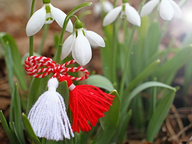 Snowdrops with Martenitsa puzzle game 