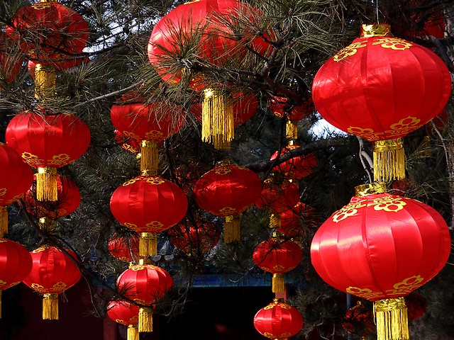 Traditional Chinese Red Lanterns - Trees, decorated with traditional Chinese red lanterns at the Spring Festival in China. - , traditional, Chinese, red, lanterns, lantern, holidays, holiday, festival, festivals, celebrations, celebration, Spring, Festival, festivals, China - Trees, decorated with traditional Chinese red lanterns at the Spring Festival in China. Lösen Sie kostenlose Traditional Chinese Red Lanterns Online Puzzle Spiele oder senden Sie Traditional Chinese Red Lanterns Puzzle Spiel Gruß ecards  from puzzles-games.eu.. Traditional Chinese Red Lanterns puzzle, Rätsel, puzzles, Puzzle Spiele, puzzles-games.eu, puzzle games, Online Puzzle Spiele, kostenlose Puzzle Spiele, kostenlose Online Puzzle Spiele, Traditional Chinese Red Lanterns kostenlose Puzzle Spiel, Traditional Chinese Red Lanterns Online Puzzle Spiel, jigsaw puzzles, Traditional Chinese Red Lanterns jigsaw puzzle, jigsaw puzzle games, jigsaw puzzles games, Traditional Chinese Red Lanterns Puzzle Spiel ecard, Puzzles Spiele ecards, Traditional Chinese Red Lanterns Puzzle Spiel Gruß ecards