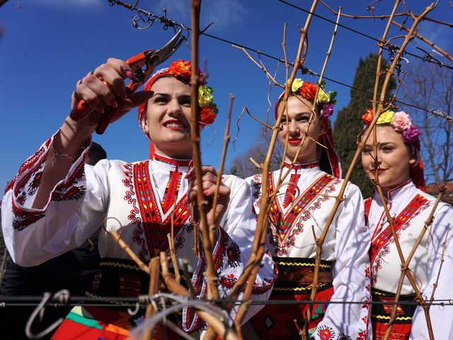 Trifon Zarezan Vines Pruning - Beautiful Bulgarian girls dressed in national costumes perform a symbolic pruning of the vines during the annual spring festival 'Trifon Zarezan'. The first pruning of the vines for the season is the main activity performed on February 14th, when people gather in the vineyards outside the villages for partaking in the holiday ritual. In Bulgarian villages, 'Trifon Zarezan' is celebrated for three days, with cheerful and noisy companies. - , Trifon, Zarezan, vines, vine, pruning, holidays, holiday, beautiful, Bulgarian, girls, girl, national, costumes, costume, symbolic, annual, spring, festival, festivals, season, activity, February, people, vineyards, vineyard, villages, village, ritual, days, day, cheerful, companies, company - Beautiful Bulgarian girls dressed in national costumes perform a symbolic pruning of the vines during the annual spring festival 'Trifon Zarezan'. The first pruning of the vines for the season is the main activity performed on February 14th, when people gather in the vineyards outside the villages for partaking in the holiday ritual. In Bulgarian villages, 'Trifon Zarezan' is celebrated for three days, with cheerful and noisy companies. Решайте бесплатные онлайн Trifon Zarezan Vines Pruning пазлы игры или отправьте Trifon Zarezan Vines Pruning пазл игру приветственную открытку  из puzzles-games.eu.. Trifon Zarezan Vines Pruning пазл, пазлы, пазлы игры, puzzles-games.eu, пазл игры, онлайн пазл игры, игры пазлы бесплатно, бесплатно онлайн пазл игры, Trifon Zarezan Vines Pruning бесплатно пазл игра, Trifon Zarezan Vines Pruning онлайн пазл игра , jigsaw puzzles, Trifon Zarezan Vines Pruning jigsaw puzzle, jigsaw puzzle games, jigsaw puzzles games, Trifon Zarezan Vines Pruning пазл игра открытка, пазлы игры открытки, Trifon Zarezan Vines Pruning пазл игра приветственная открытка