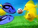 Animals World Cup Fishes play at Hakkeijima Sea Paradise Aquarium in Japan