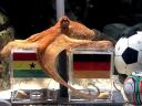 Animals World Cup Paul Octopus predicts the German Victory against Ghana