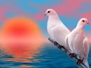 Fourth of July White Doves at Sunrise Wallpaper