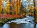 Autumn Colors in Sandved Park Sandnes Norway