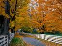 Autumn Landscape New Hampshire