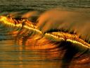 Golden Sunset Sea Waves Rincon Puerto Rico