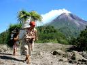 Volcano Indonesia Mount Merapi Indonesian Women with Bundles of Grass