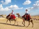 Giza Necropolis Cairo Egypt Camels Ride