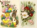 Easter Chick and Bunny Greetings Postcards