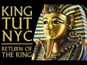 King Tut Exhibition at Discovery Times Square in New York USA Poster