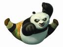 Kung Fu Panda 2 Master Po Floating Frog Pose