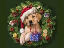 Christmas Puppy by Marcello Corti